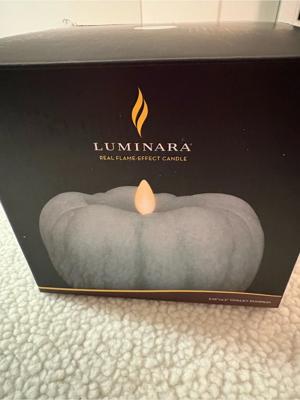 Luminara Decorative Sage Green Pumpkin LED Accent